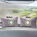 Platinum Pro™ Reusable Car Dehumidifier